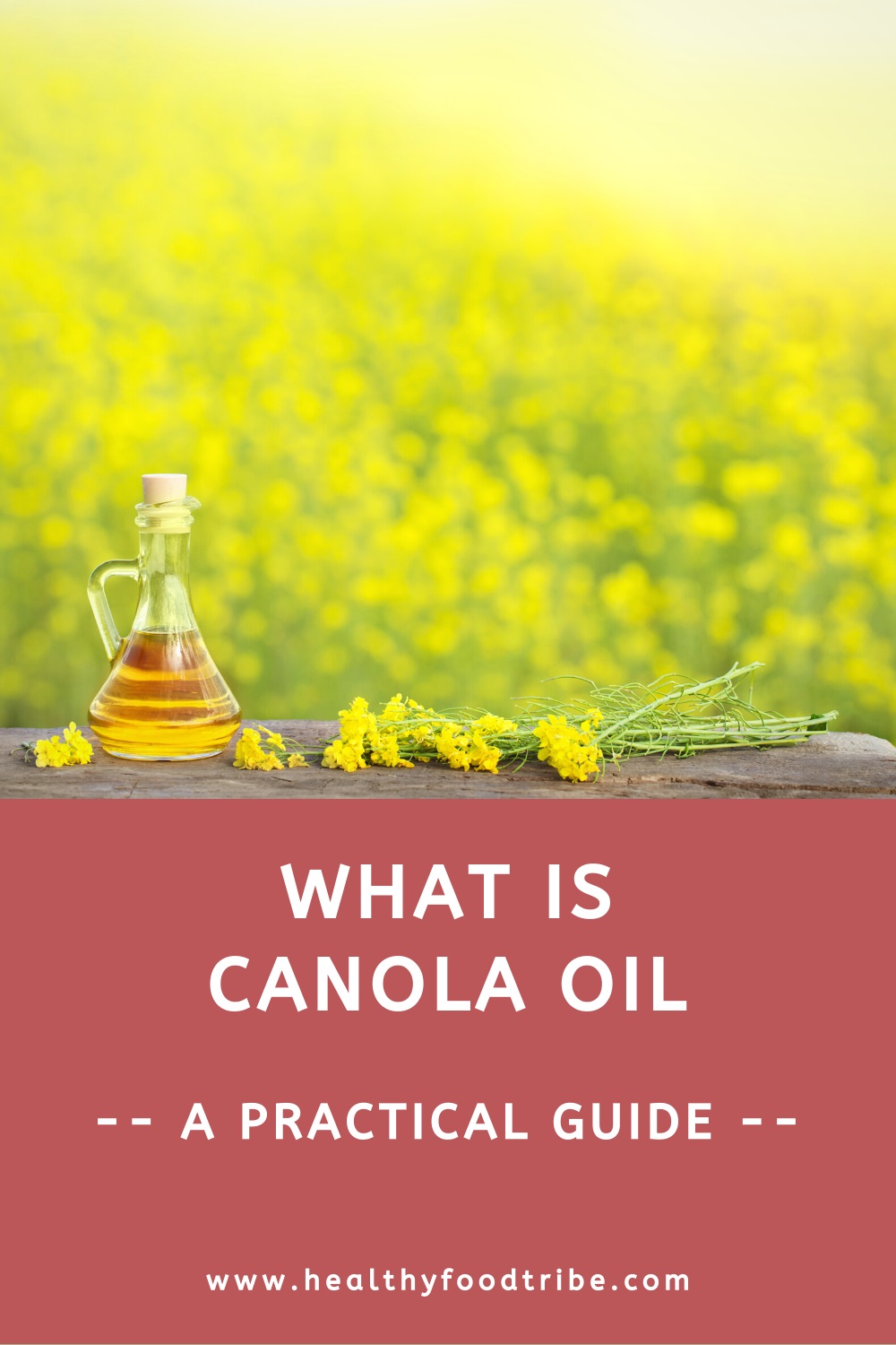 What is canola oil? (a practical guide)