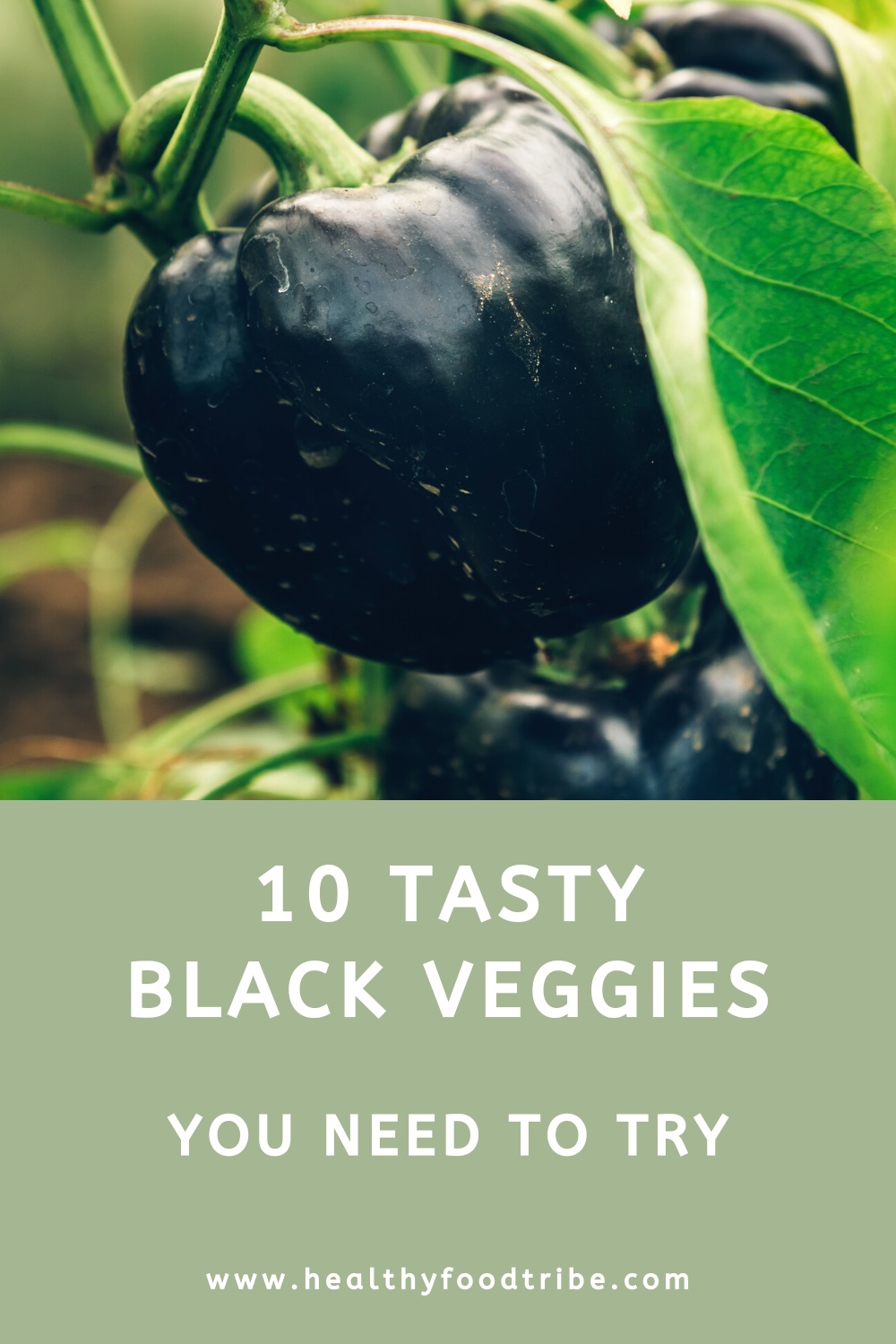 10 Black veggies you need to try
