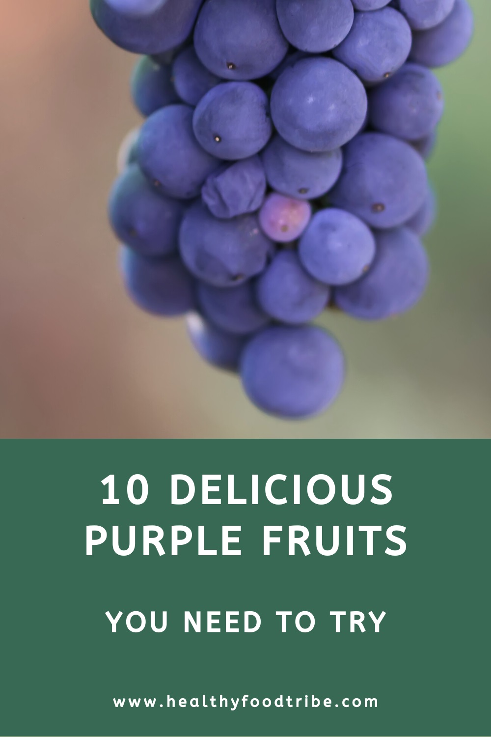 10 Purple fruits you need to try