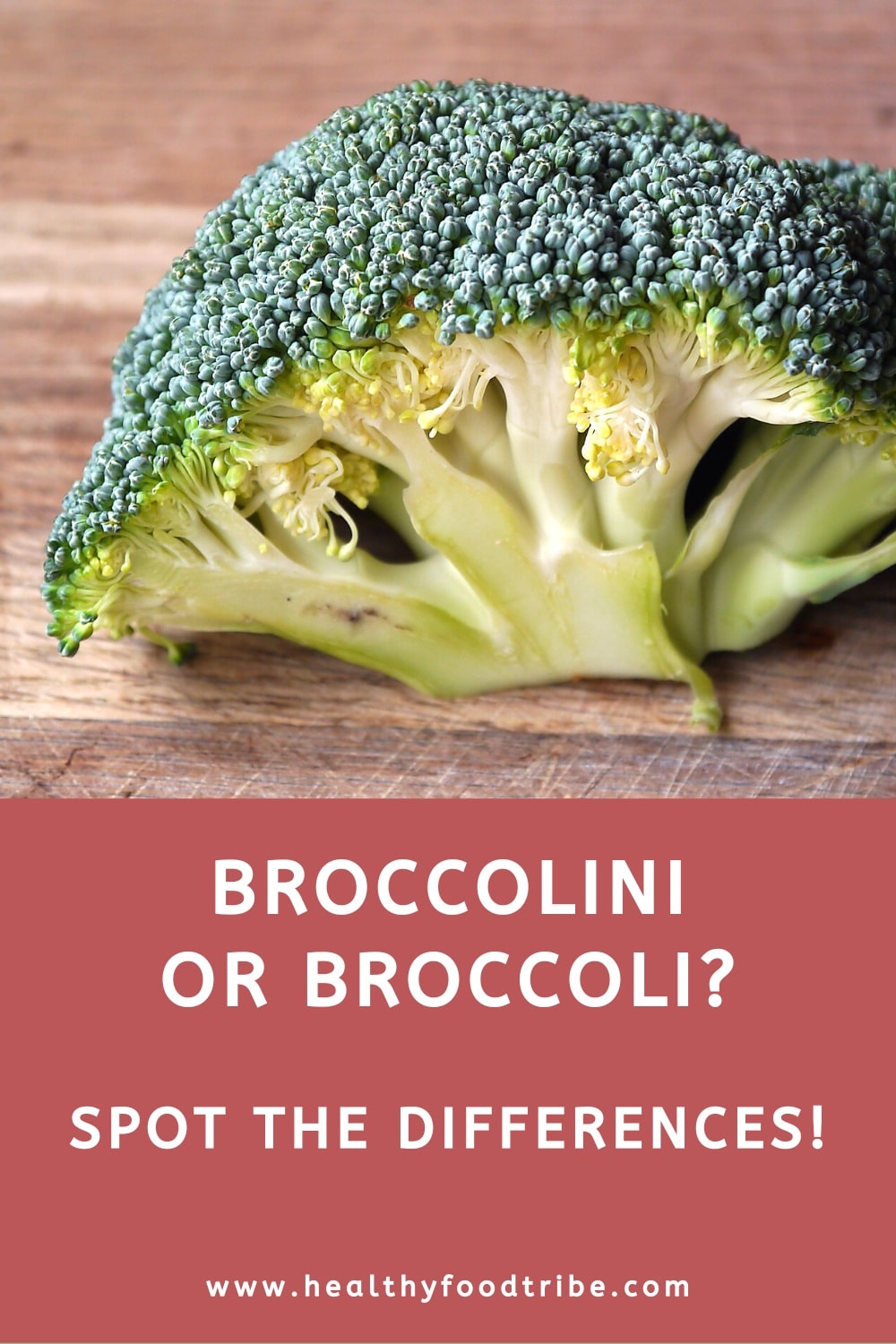 Differences between broccoli and broccolini