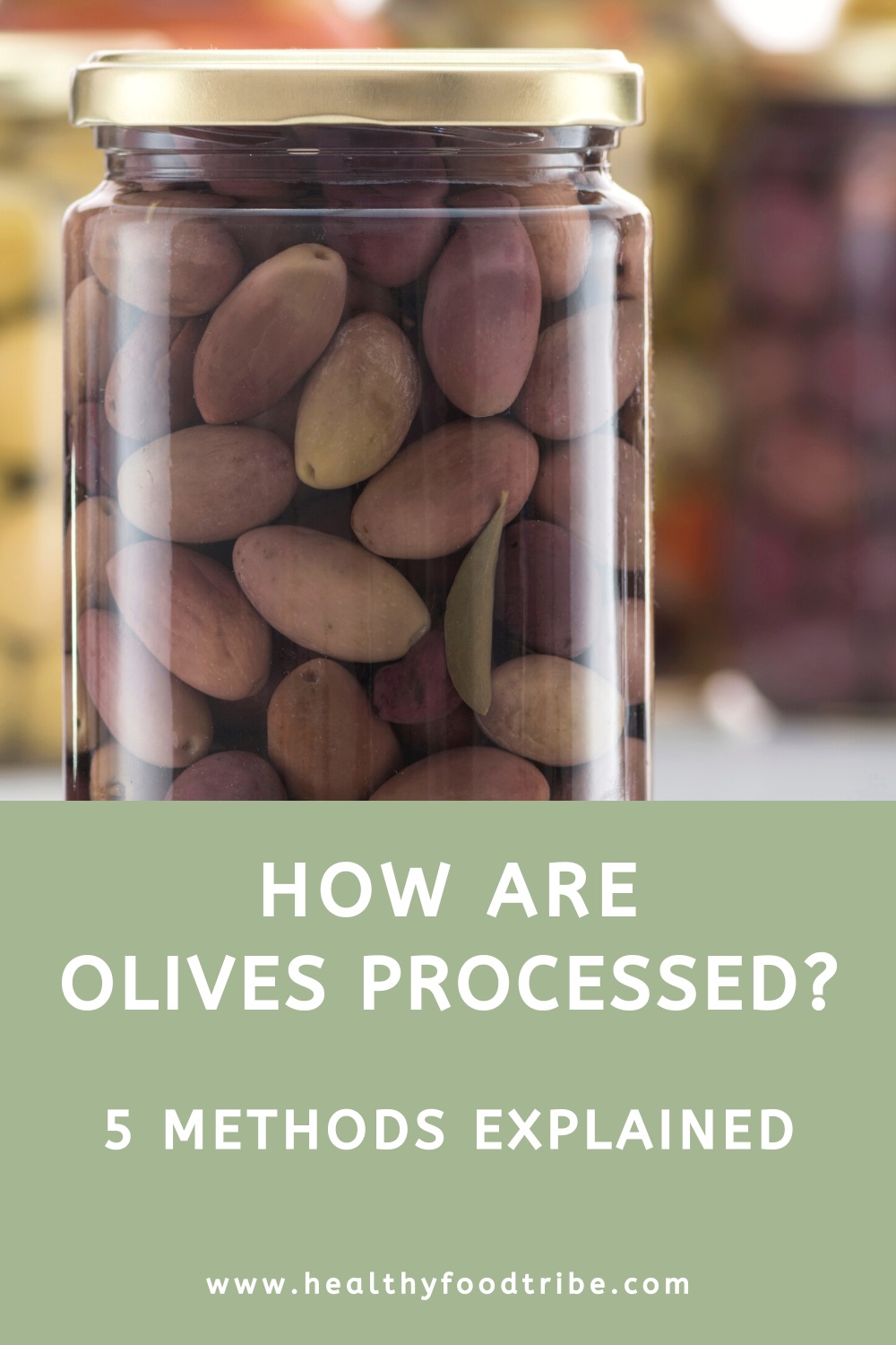 5 Methods to process olives explained