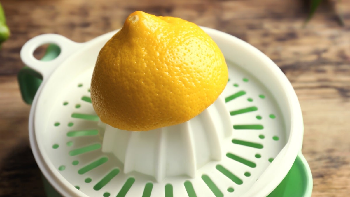 Top rated manual citrus juicers