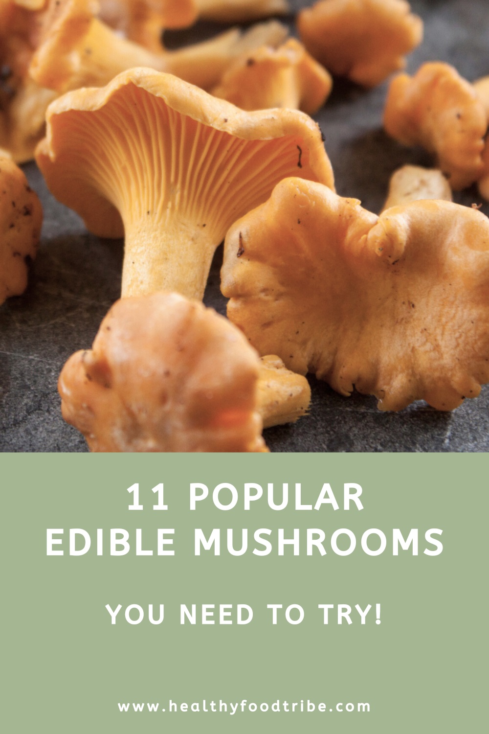 11 Popular edible mushrooms