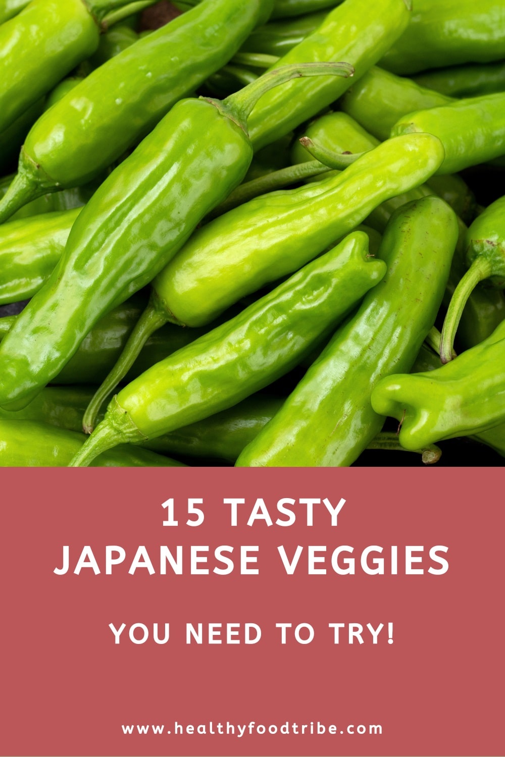 15 Tasty Japanese veggies you need to try