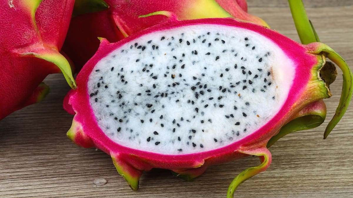 What is dragon fruit?