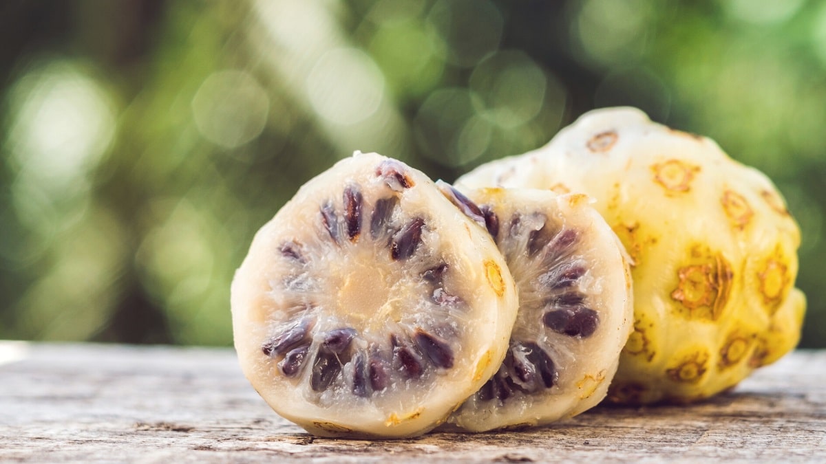 How to eat noni fruit