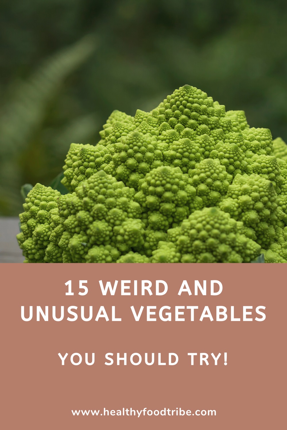 15 Weird and unusual vegetables you should try