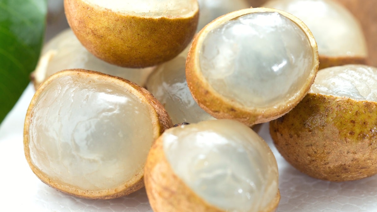 What is longan fruit?