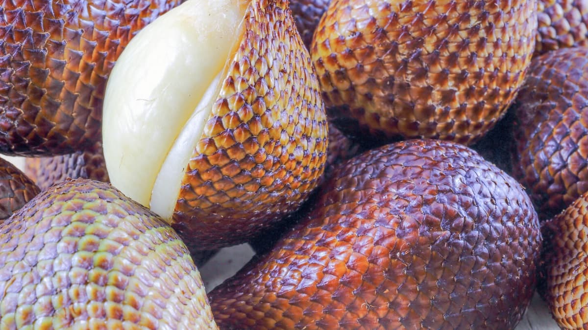 What is snake fruit?