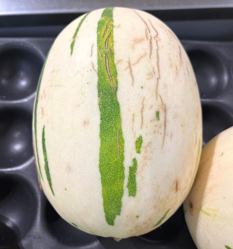 Gaya Melon