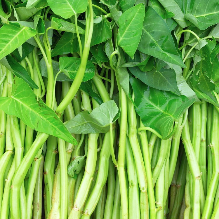 Water spinach