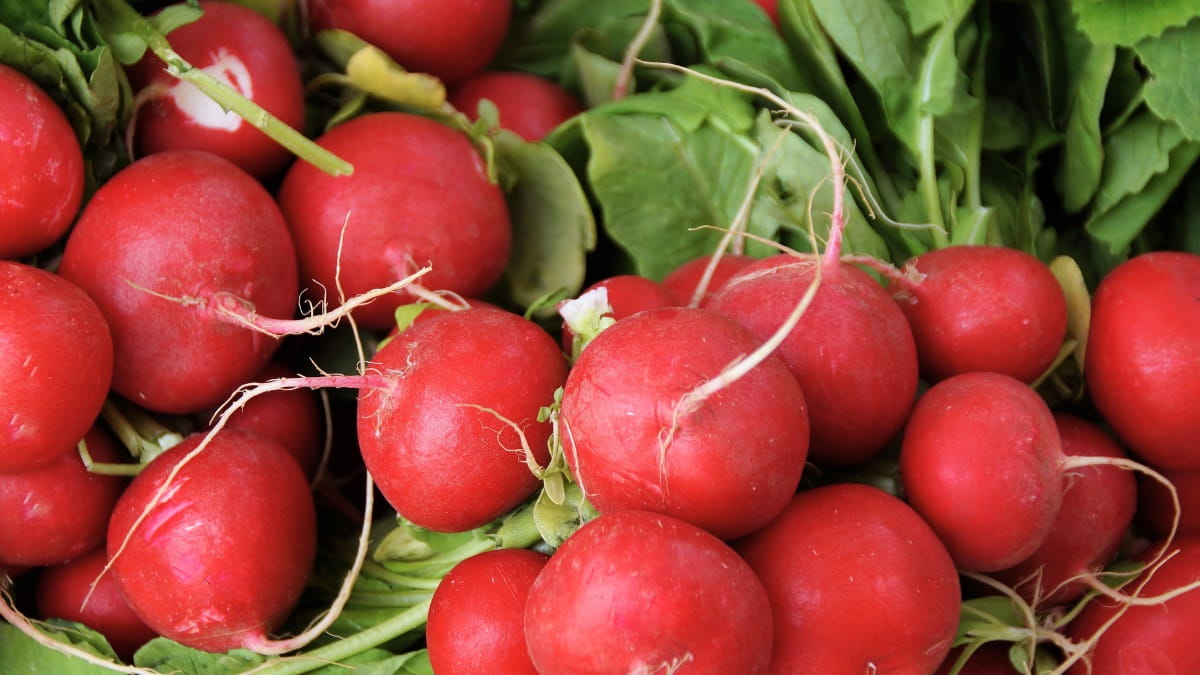 Vegetables that are easy to grow at home